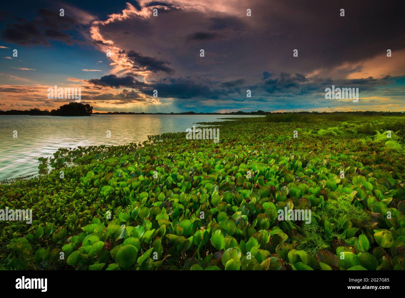 Panamalandschaft bei Abendlicht am Seeufer des Refugio de vida Silvestre Cienage Las Macanas Naturschutzgebiet, Republik Panama. Stockfoto