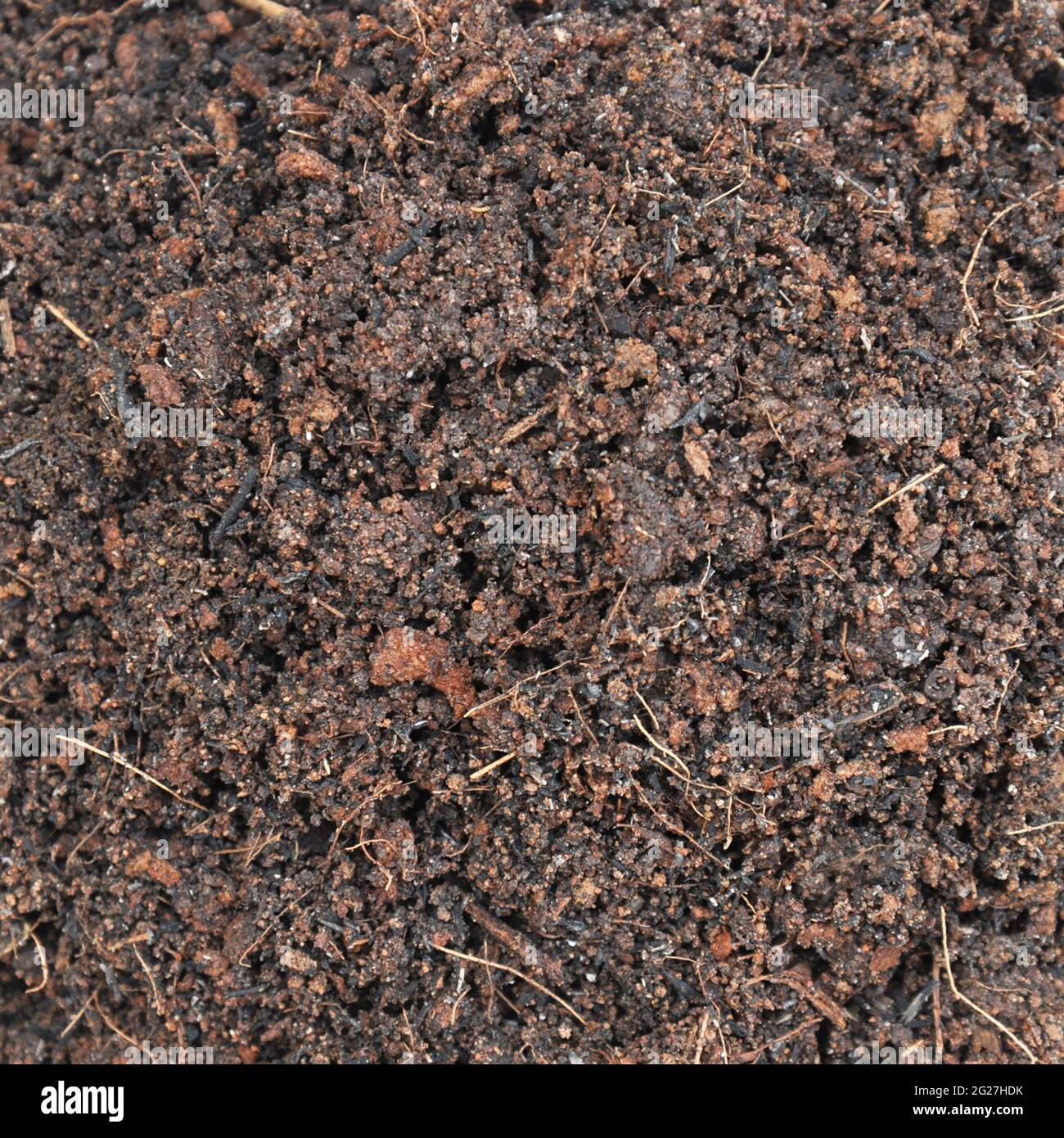 Dunkler humus -Fotos und -Bildmaterial in hoher Auflösung – Alamy