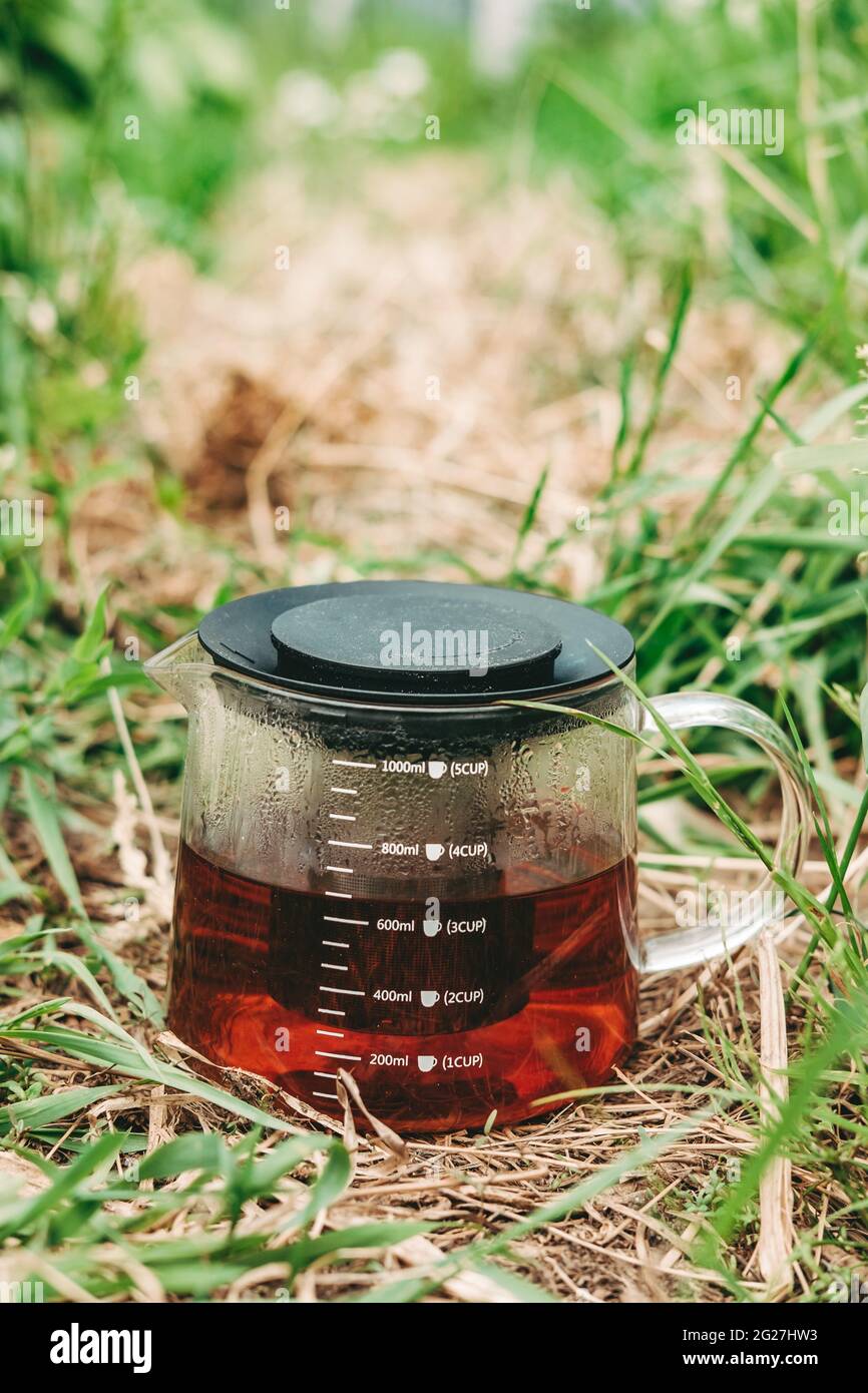 Schwarzer Tee in einer transparenten Teekannen auf grünem Gras. Gesunder heißer Tee in der Natur. Teekannen aus nächster Nähe. Kondensat auf dem Glas. Erfrischender Tee. Stockfoto