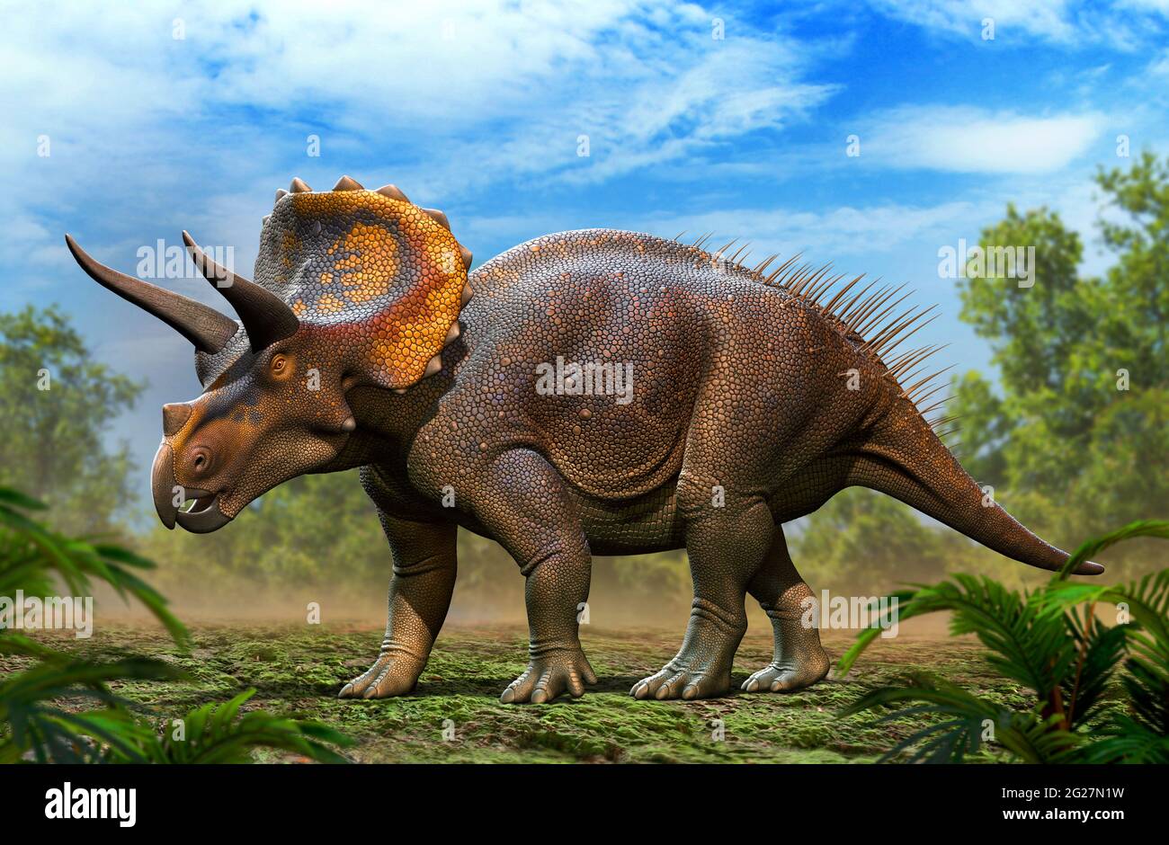 Triceratops horridus Wandern im Wald. Stockfoto