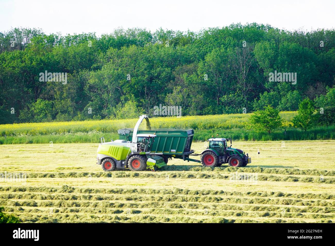 Zwei landwirtschaftliche Fahrzeuge ernten Heu. Sammeln von Heu für Silage. Hügelige grüne Landschaft. Stockfoto