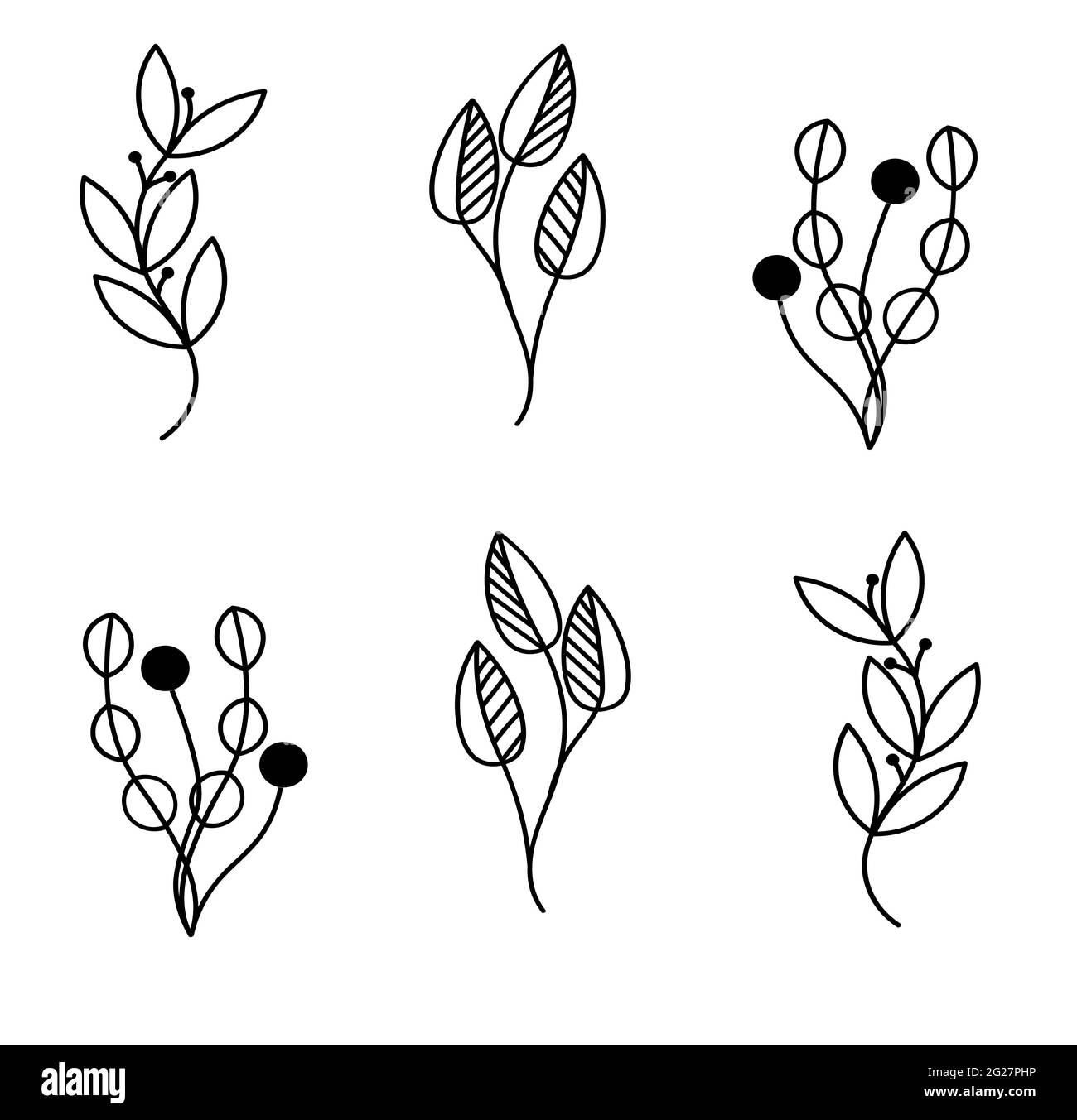 Set von abstrakten Pflanzen.Silhouette.Collection handgezeichnete, botanische und heilende isolierte Pflanzen.Kräuter Design-Vorlage.Zweige und Blätter. Tattoo-Skizze Stockfoto