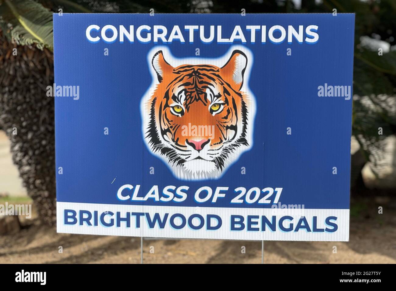 Ein Gratulation Class of 2021 Zeichen für Brightwood Elementary School Studenten, Dienstag, 8. Juni 2021, in einer Residenz in Monterey Park, Kalifornien. Stockfoto