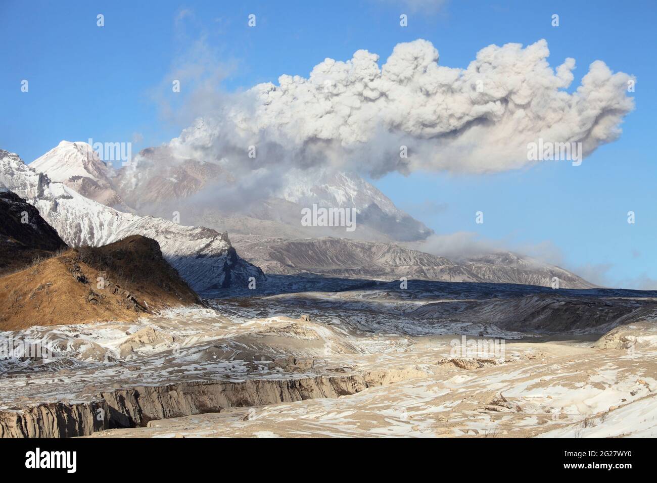 Ausbruch der Aschewolke aus dem Lavakom des Vulkans Shiveluch, Russland. Stockfoto