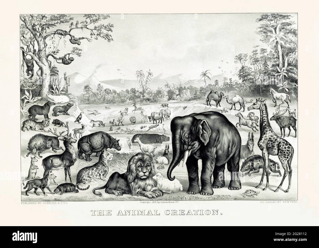 Die Schöpfung der Tiere im Garten Eden, aus dem Buch Genesis, Altes Testament. Stockfoto