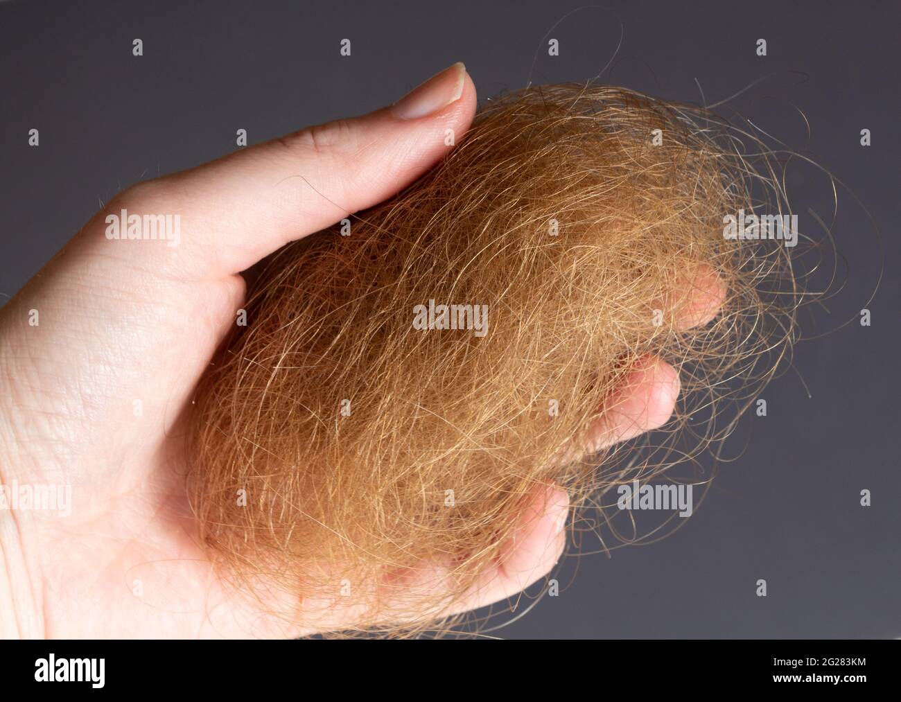 Ball aus blonden Haaren in der Hand einer Frau Stockfoto