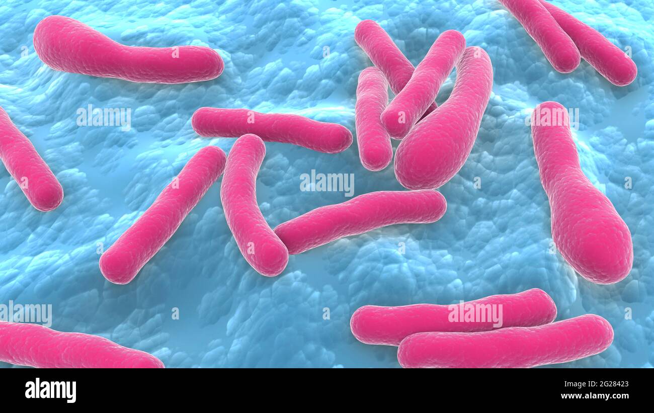 Biomedizinische Illustration von Clostridium botulinum-Bakterien. Stockfoto