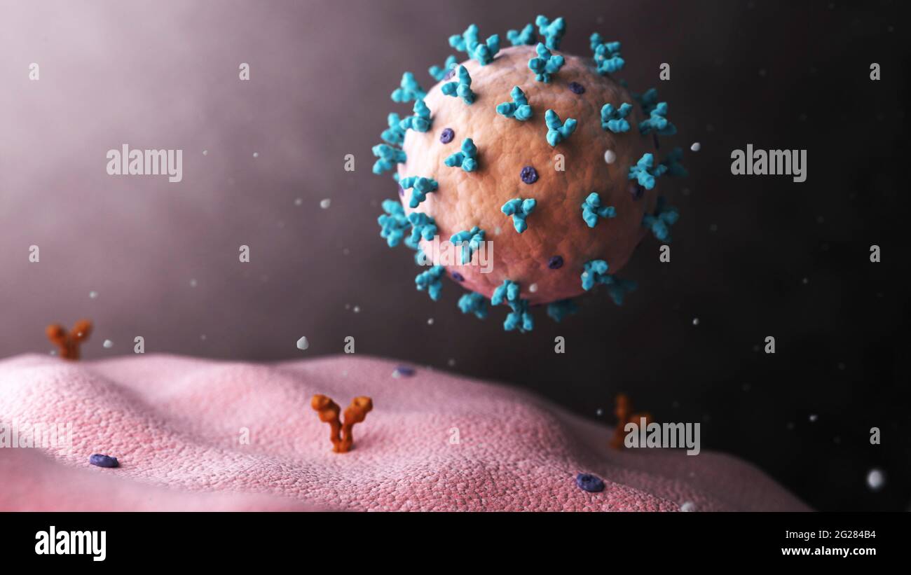 Biomedizinische Darstellung des Lassa-Virus, das sich an die Zelle anheften. Stockfoto