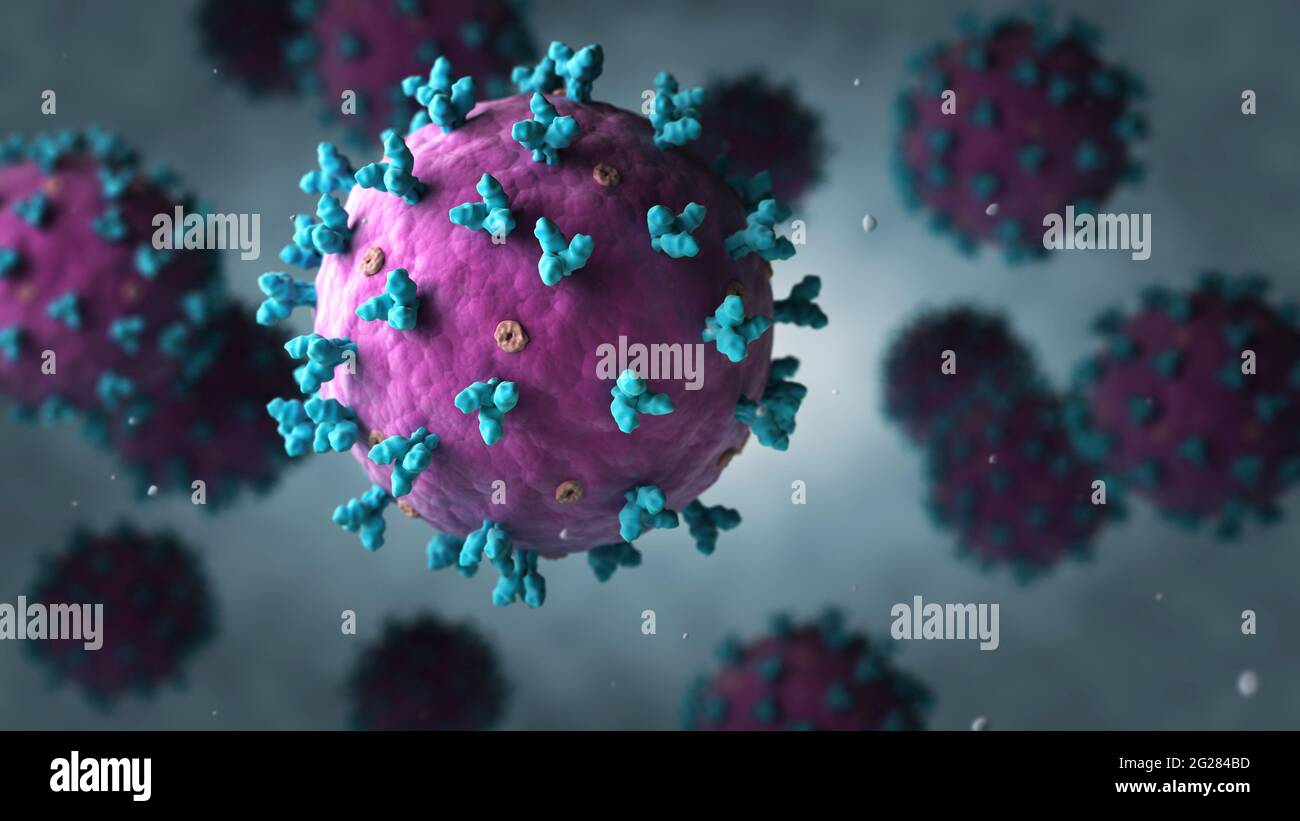 Biomedizinische Darstellung einer Gruppe von schwimmenden Lassa-Viren. Stockfoto