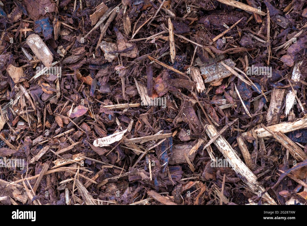Vollständige Nahaufnahme der Holzsplitter für Mulch und Bodenabdeckung, um Unkraut zu verhindern und Feuchtigkeit für Gartenanlagen und Parkflächen zu enthalten Stockfoto