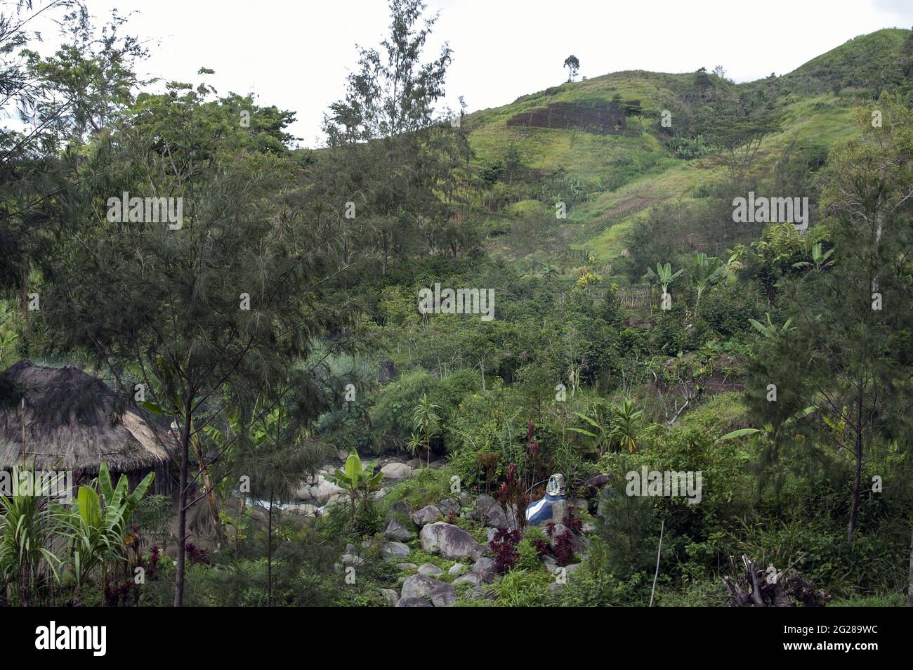 Papua-Neuguinea; Goroka; die katholische Missionsstation von Namta (Mefenga), die von den Missionaren der Heiligen Familie geleitet wird. Katholische Missionsstation. Stockfoto