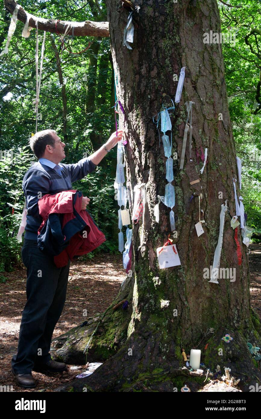 Der Minister-Baum in Doon Hill in Aberfoyle, Schottland, mit Nachrichten für die Feen, wie durch den Reverend Robert Kirk und sein Buch berühmt gemacht “ Stockfoto