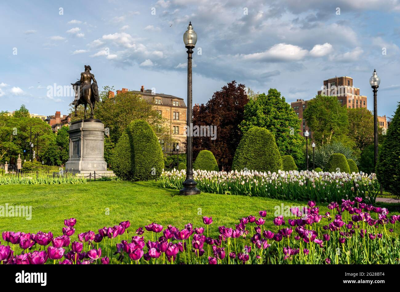 Morgenfoto des Boston Public Garden im Frühjahr mit der George Washington Statue im Hintergrund. Stockfoto