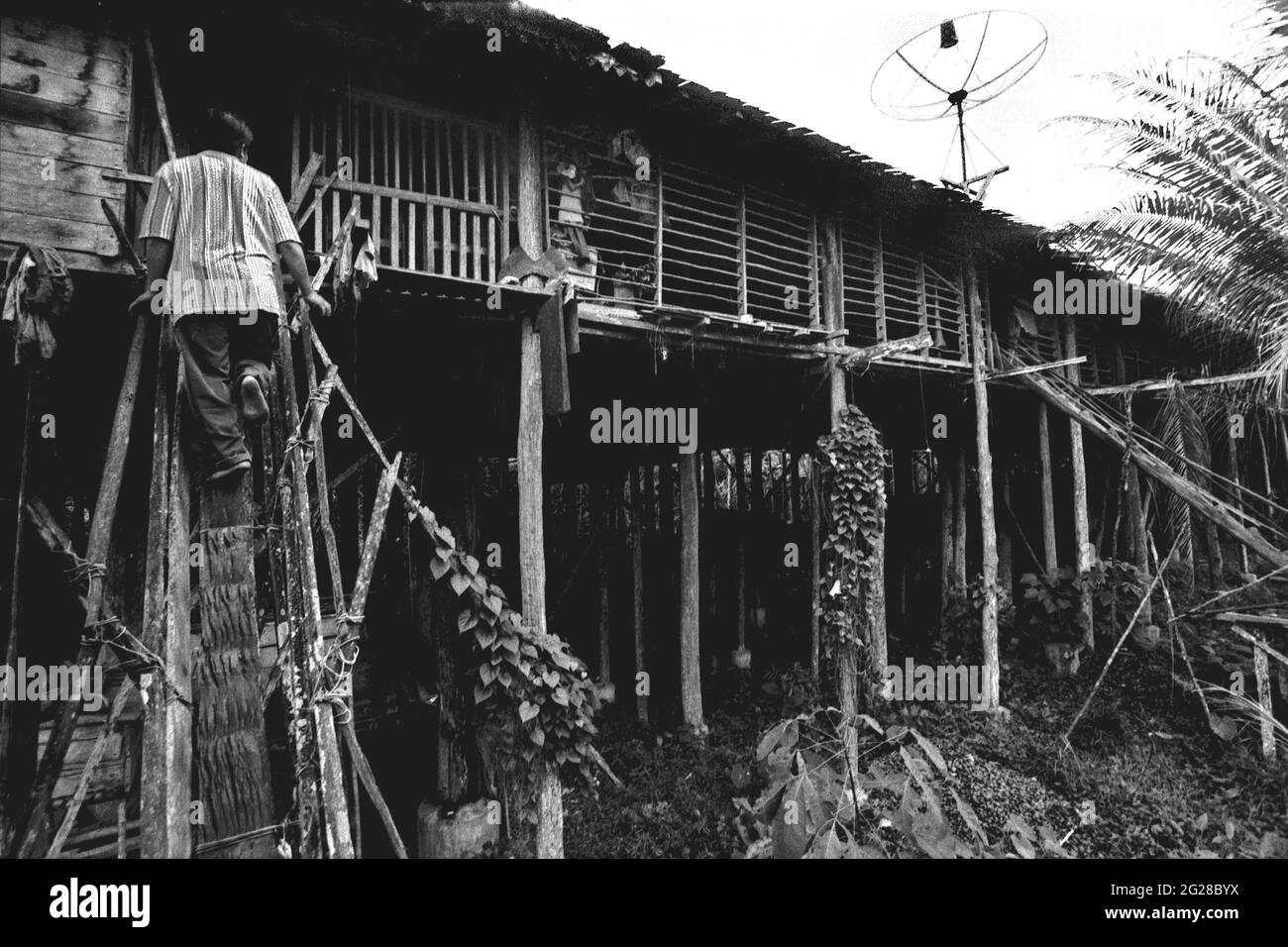 Sungai Uluk Palin, Kapuas Hulu, West Kalimantan, Indonesien. März 2007. Ein Mann, der auf einer Treppe im Langhaus der traditionellen Dayak Tamambaloh-Gemeinschaft läuft. - Fotografiert auf Schwarzweiß-Film, gescannt, digitalisiert. Stockfoto