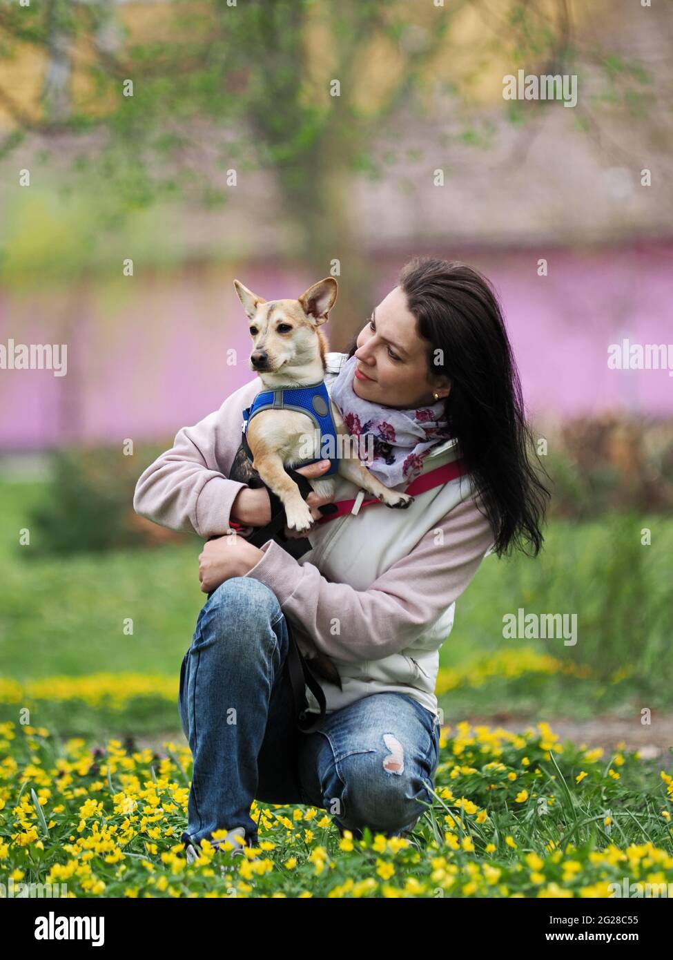 Erwachsene nette Frau geht den kleinen Hund im Frühling Stockfoto
