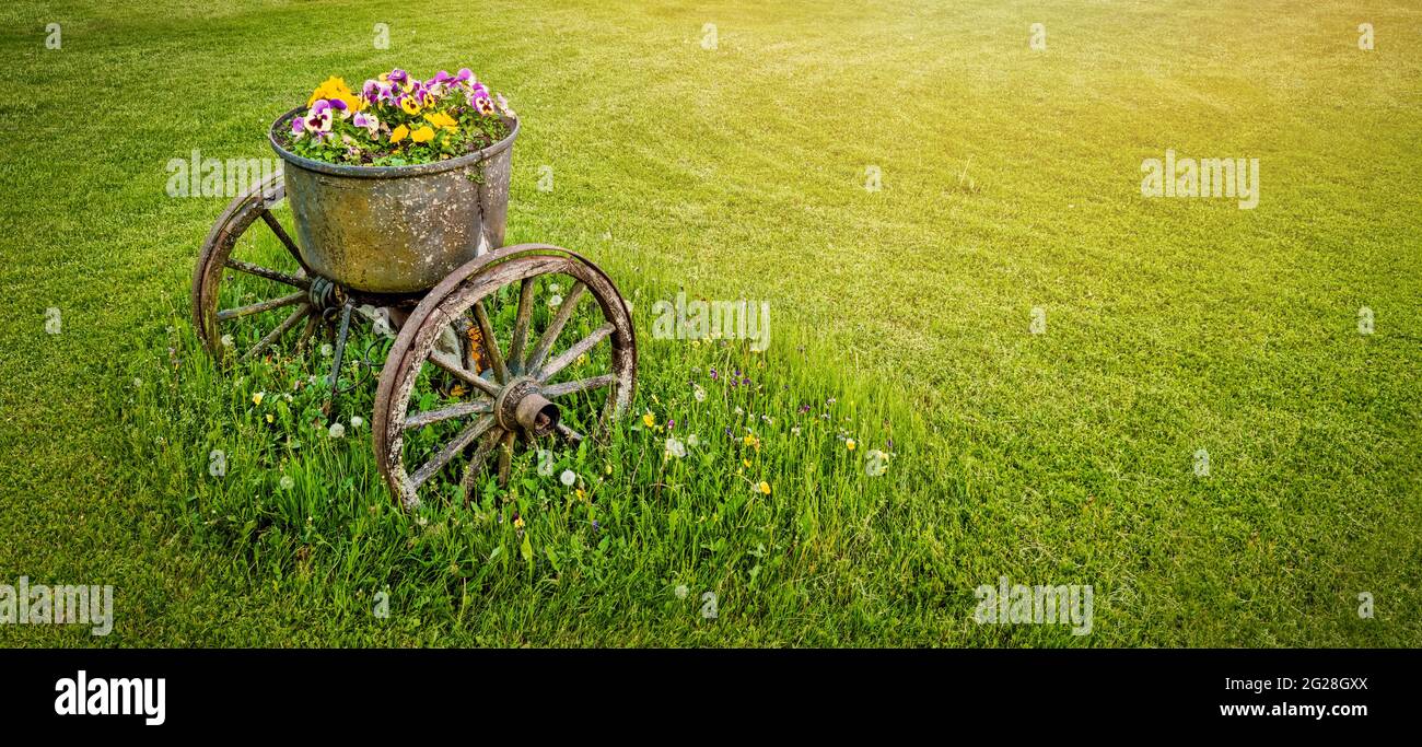 Gartendekoration - alte rädrige Metall-Blumentopf in grünem Gras. Banner kopieren Raum Stockfoto