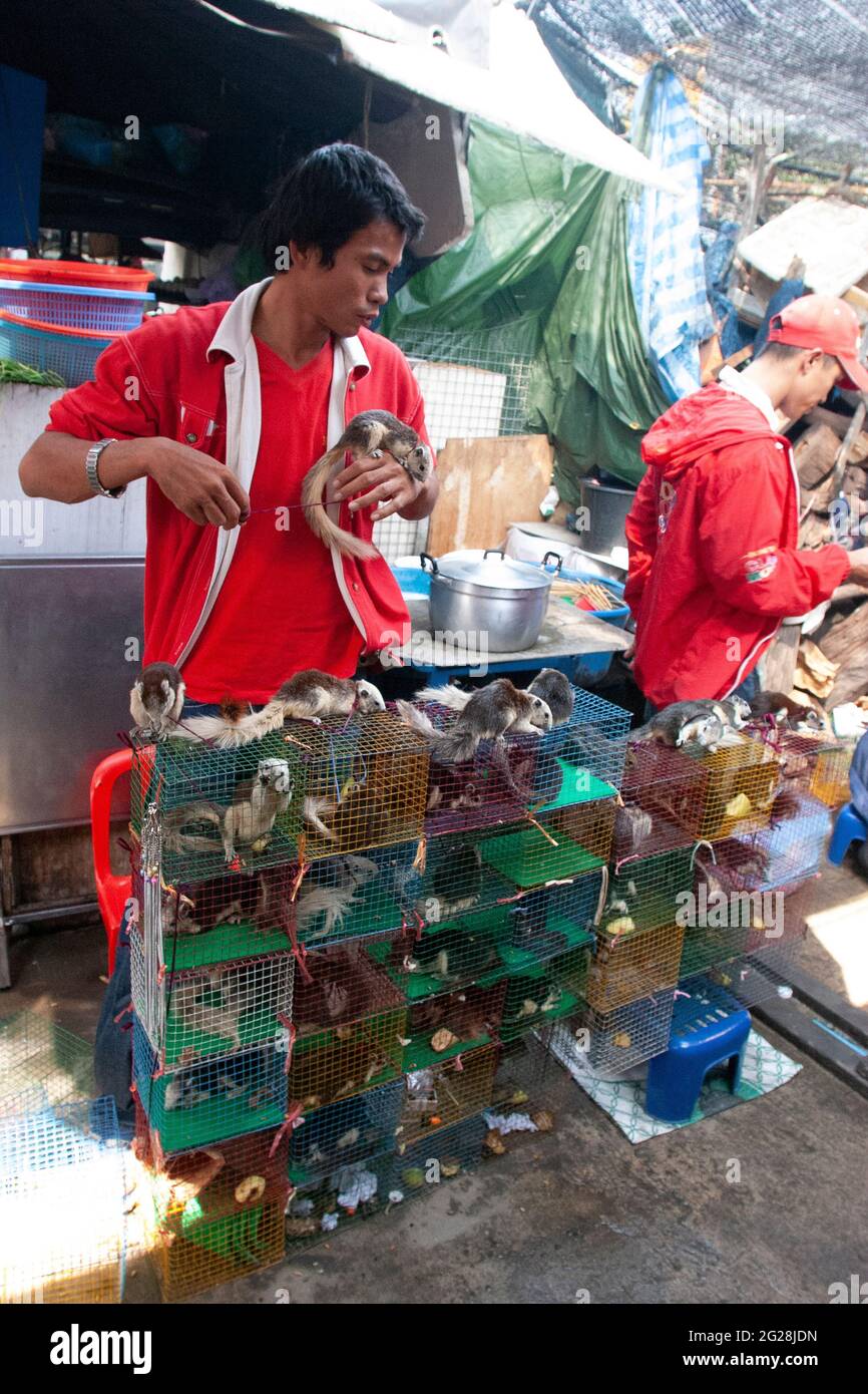 Wildtiere werden an einem Stand auf dem Tiermarkt in Bangkok, Thailand, verkauft Stockfoto