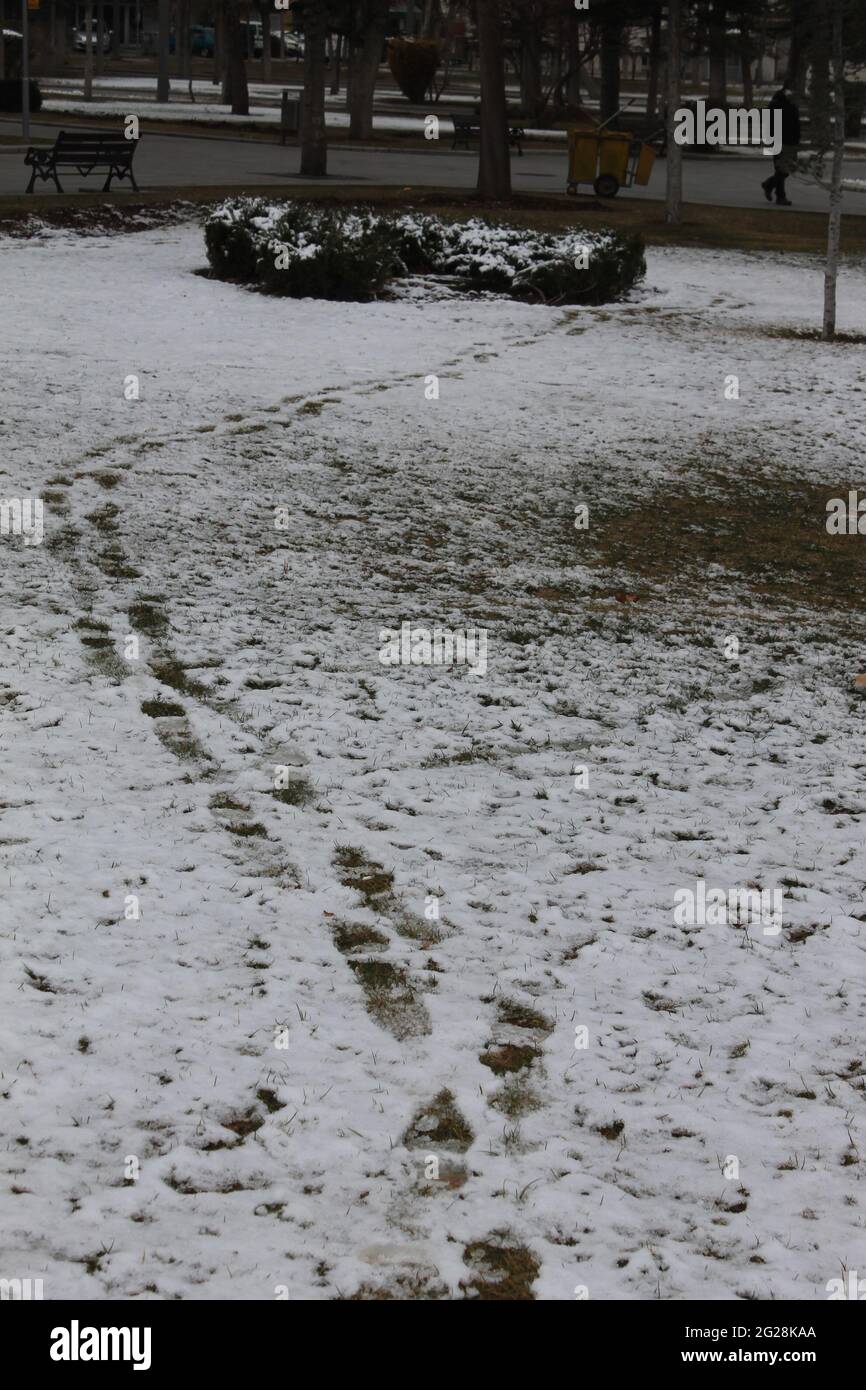 Fußabdrücke im verschneiten Garten Stockfoto
