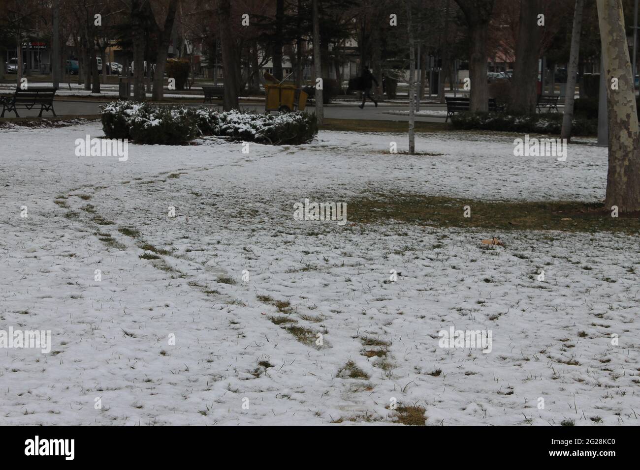 Fußabdrücke im verschneiten Garten Stockfoto