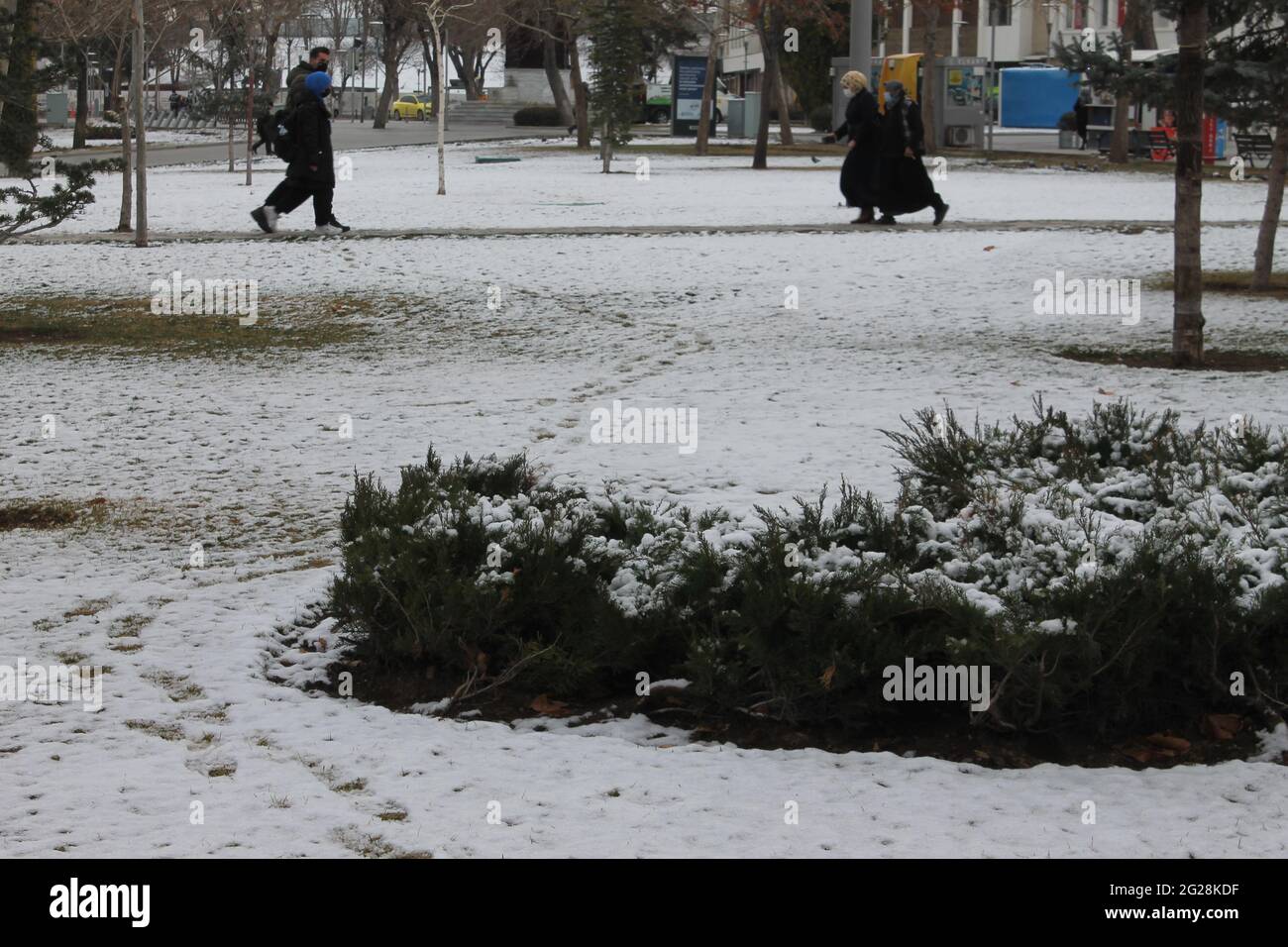 Fußabdrücke im verschneiten Garten Stockfoto