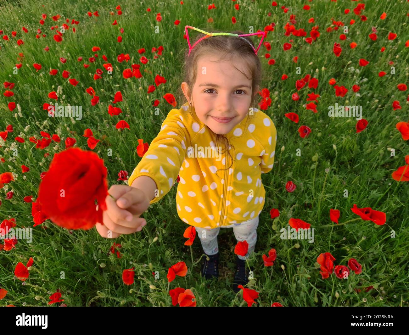 Kleines Mädchen in einem Feld von wilden Blumen. Wiese mit Mohnpflanzen. Stockfoto