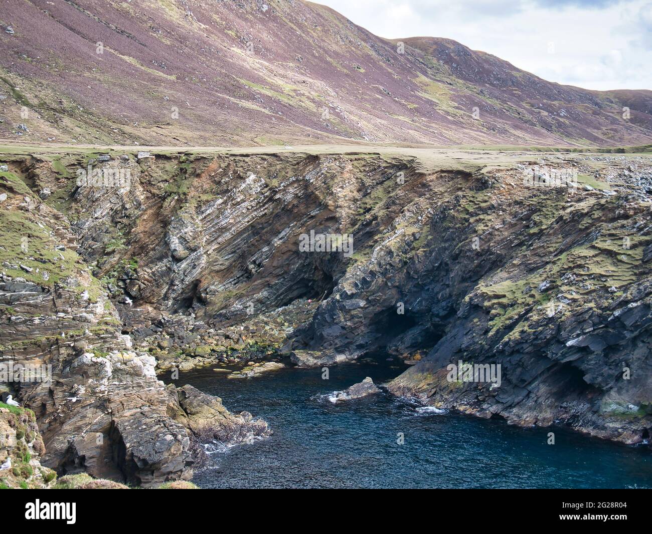 Küstenklippen rund um Collaster an der Westküste der Insel Unst, Shetland, Großbritannien. Die Gesteine sind erodiert, stark geschichtet und geneigt. Stockfoto