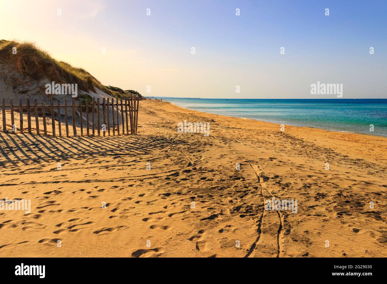 Der Regionale Naturpark Dune Costiere (Torre Canne): Zaun zwischen den Dünen des Meeres, Apulien (Italien). Stockfoto