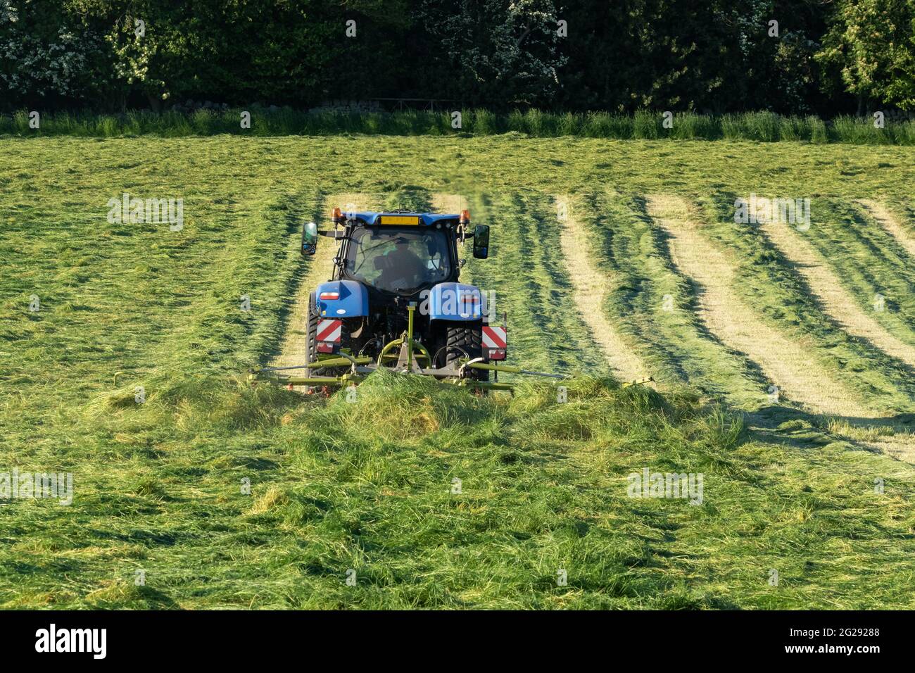 Ein Landwirt Silage Tedding auf einem Bauernhof in Yorkshire, England. Stockfoto