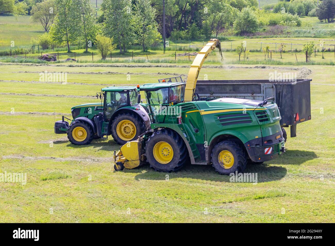 Selbstfahrender Feldhäcksler und Traktor mit Silageanhänger auf dem Feld Stockfoto