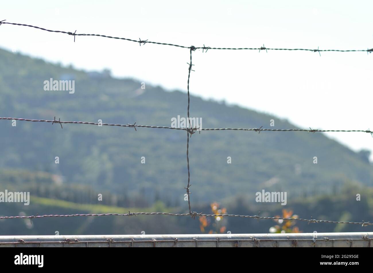 Drahtzaun mit Dornen eingezäunt Stockfoto