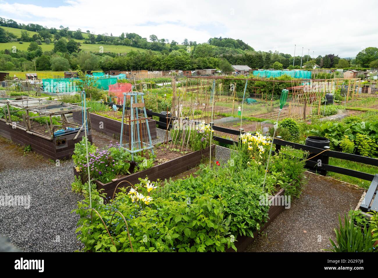 Gepflegte Zuteilungen in der Nähe von Brecon, Powys, Wales, Großbritannien Stockfoto