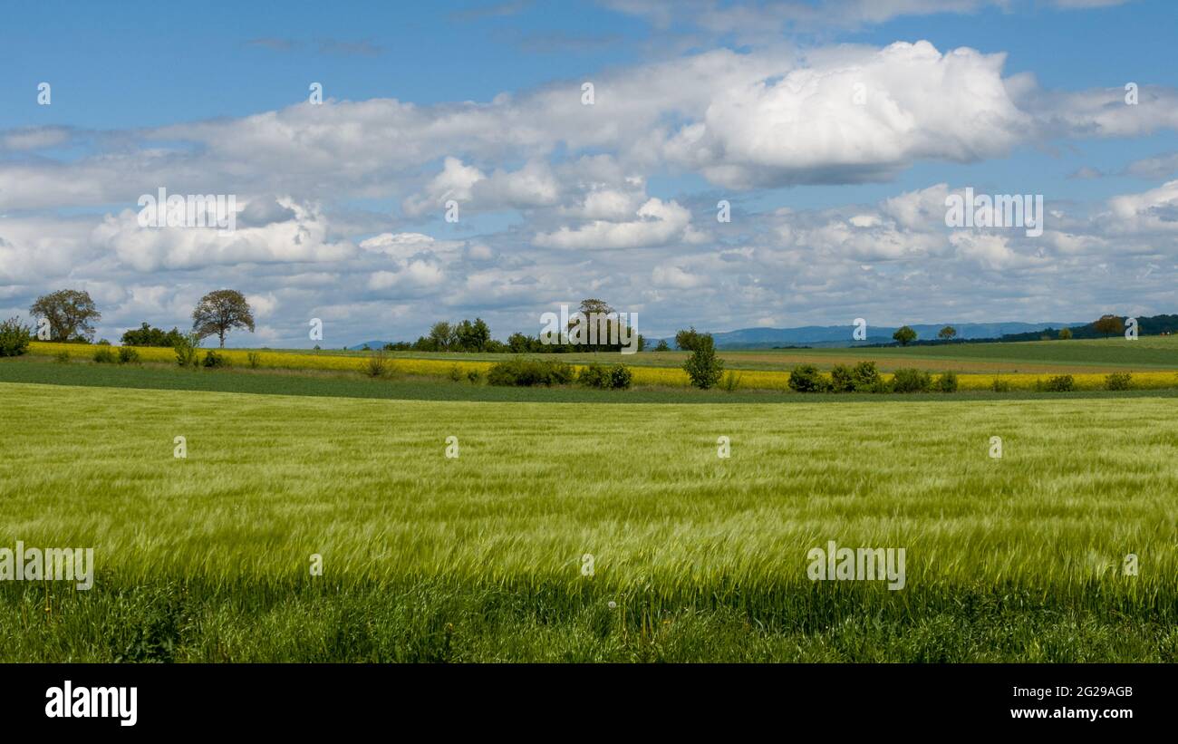 Grüne Felder im Frühling und Hügel im Hintergrund Stockfoto