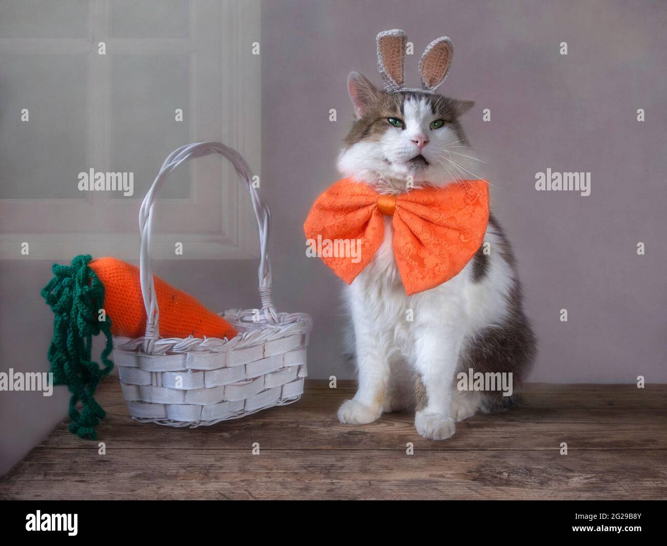 Lustige Katze mit Kaninchen-ähnlichen Ohren und einer großen Karotte in einem Korb Stockfoto
