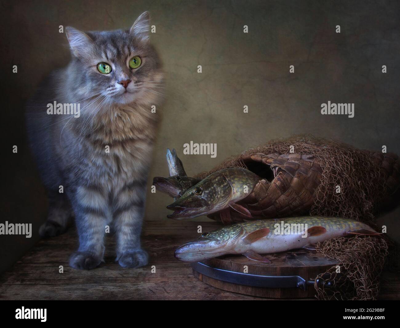 Stillleben mit Hechtfischen und neugieriger Katze Stockfoto