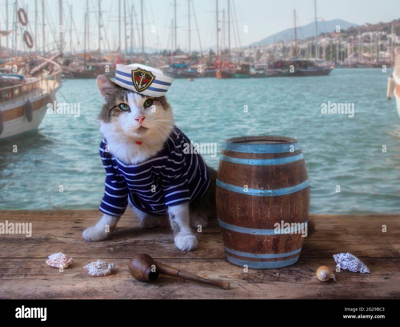 Porträt einer entzückenden Katze in Seemannsweste Stockfoto