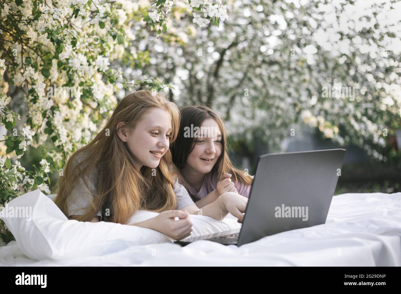 Ein großer Winkel von Teenagern blickt auf einen Laptop, der im Garten auf dem Bett liegt Stockfoto