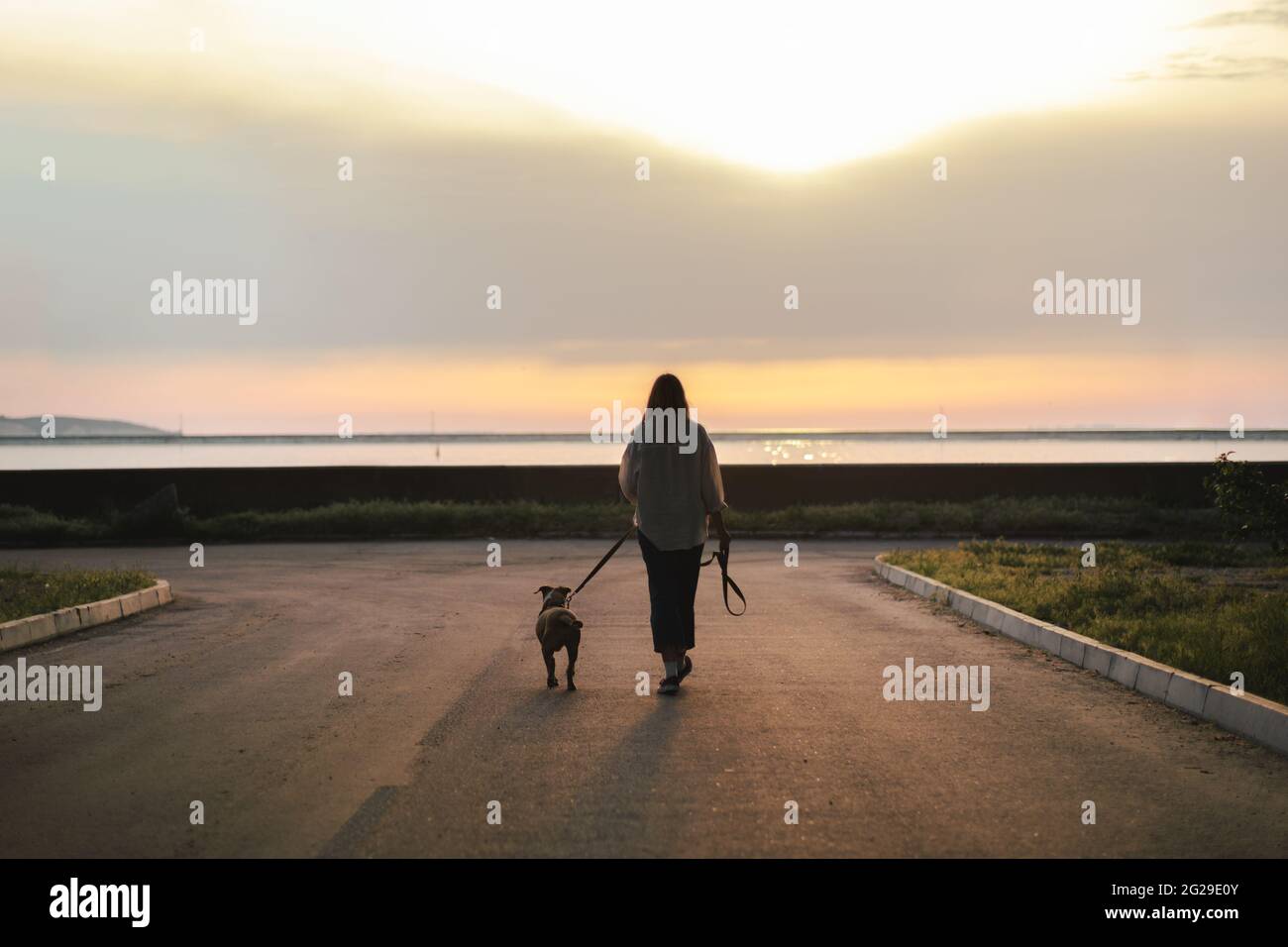 Frau geht mit ihrem Hund, Kai Bay Bereich bei Sonnenuntergang, gegen die s geschossen Stockfoto