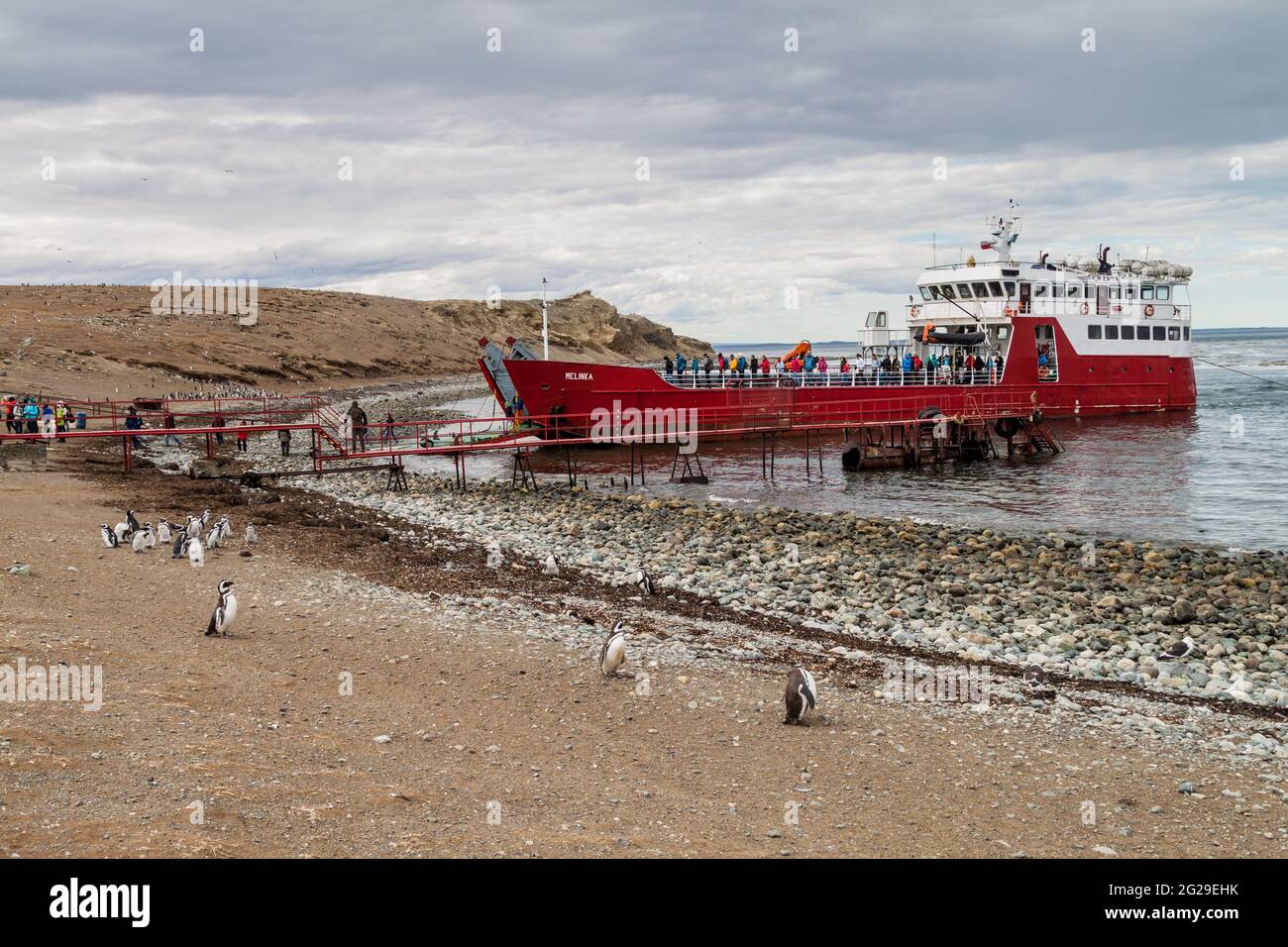 ISLA MAGDALENA, CHILE - 4. MÄRZ 2015: Fähre mit Touristen kommt in der Pinguinkolonie auf der Insel Isla Magdalena in der Magellanstraße, Chile an Stockfoto