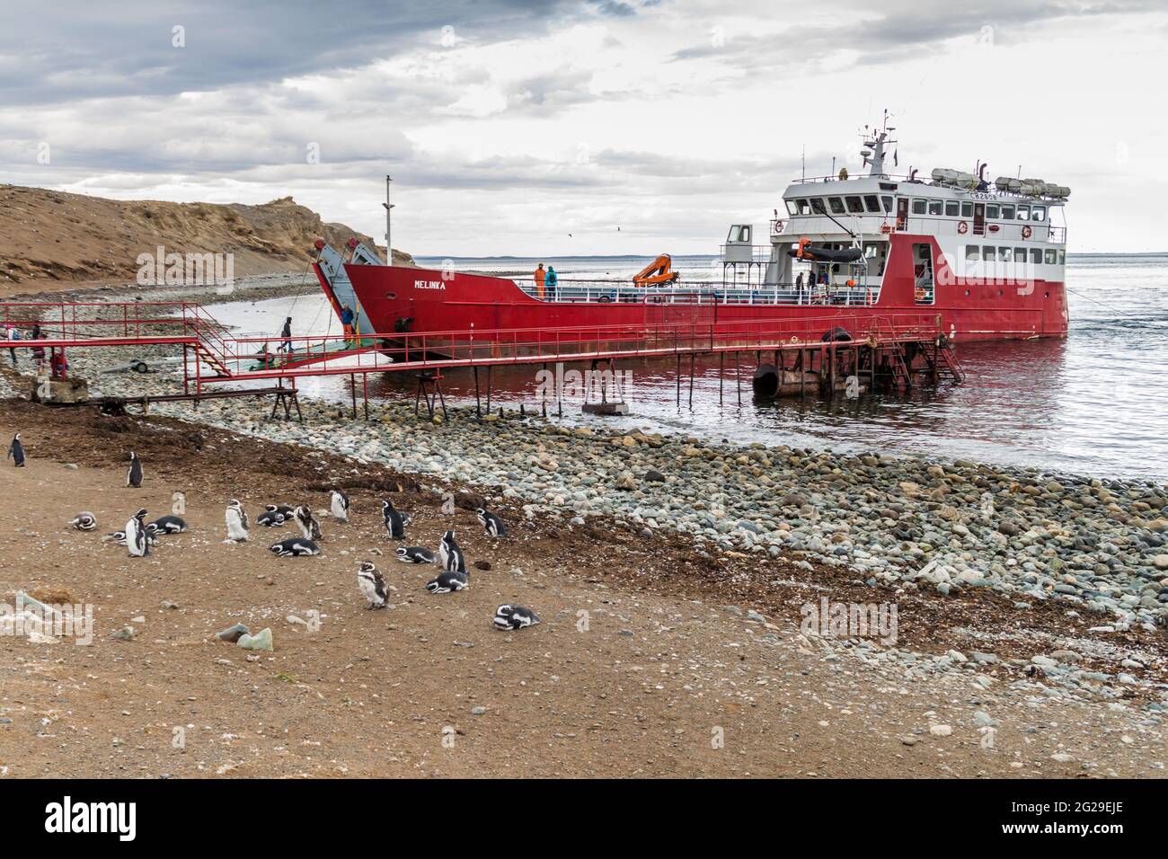 ISLA MAGDALENA, CHILE - 4. MÄRZ 2015: Fähre mit Touristen kommt in der Pinguinkolonie auf der Insel Isla Magdalena in der Magellanstraße, Chile an Stockfoto