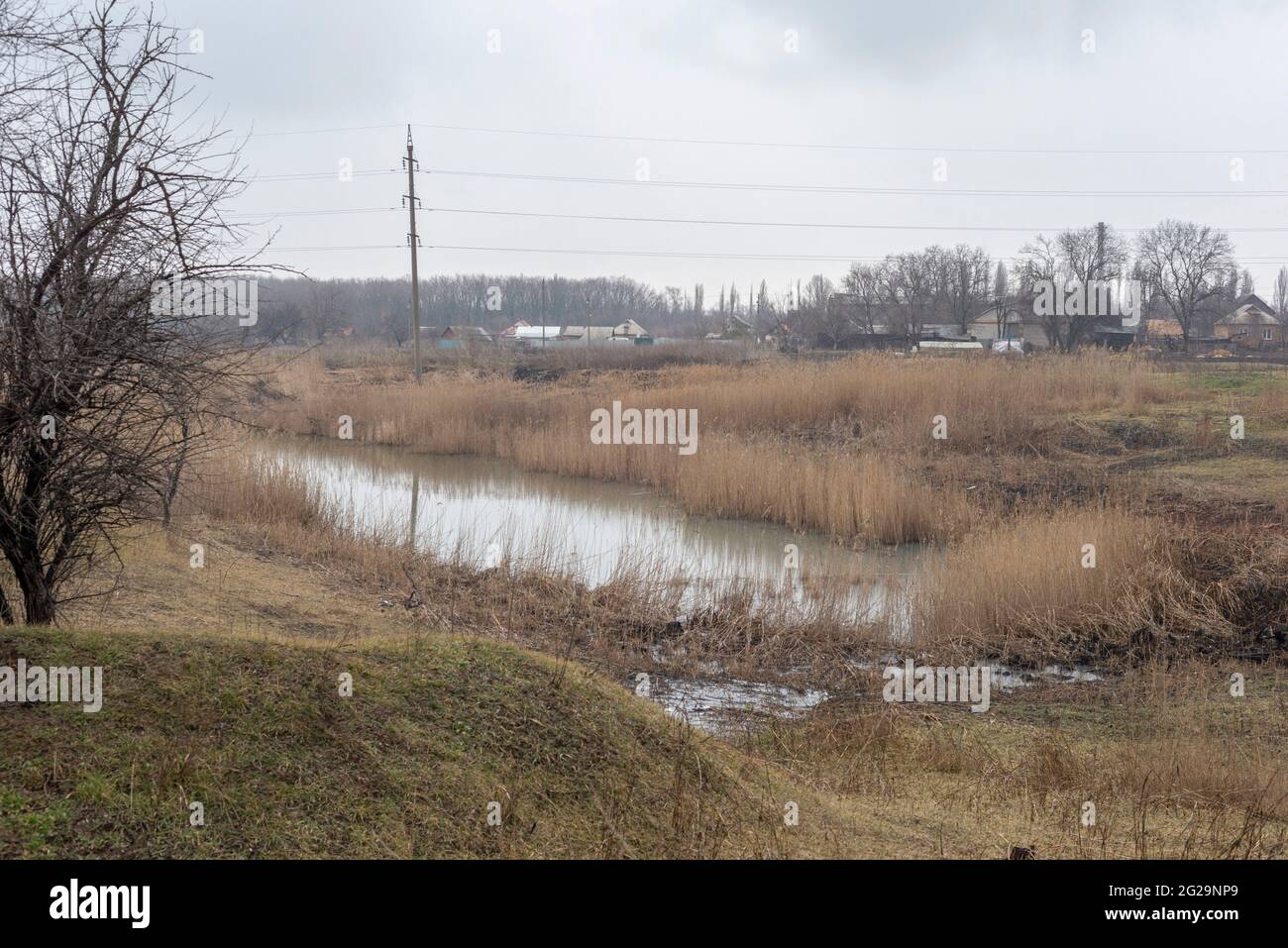 Abwasser von schmutzigem Wasser des Dorfes vor dem Hintergrund von Schilf und Bäumen Stockfoto