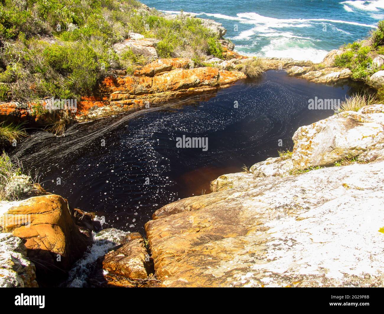Ein kleiner Pool, der sich an einem sonnigen Tag auf einem Felsvorsprung über dem Indischen Ozean entlang der Küste von Tsitsikamma in Südafrika sammelt Stockfoto