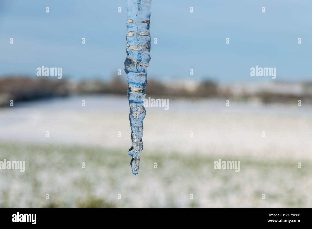 Nahaufnahme der Eiszapfen mit Details. Eisspitze hängt. Gefrorenes Wasser in großer Tropfenbildung schmilzt langsam und tropft. Winterwunderland-Konzept. Einfrieren Stockfoto