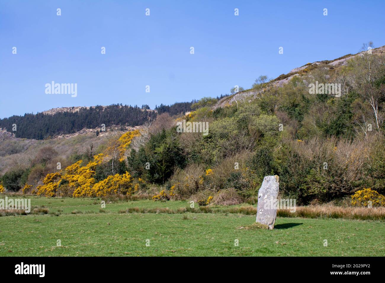 Farnanes Standing Stone Dunmanway West Cork Irland. Standing Stones gelten als antike Grabstätten und werden in allen Grafschaften Irlands gefunden. Stockfoto