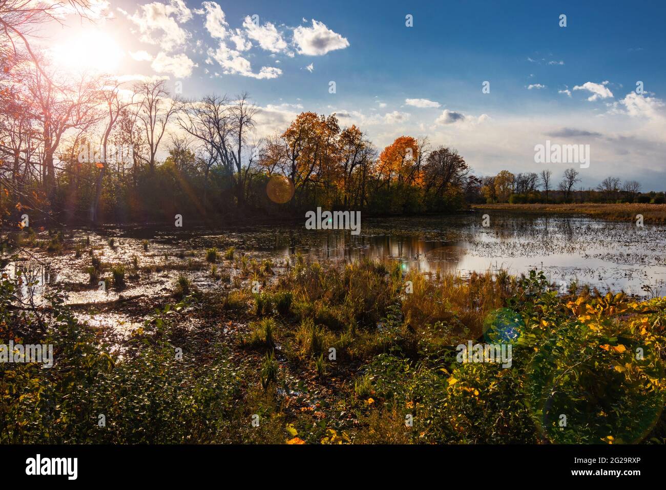 Blick auf ein Flachland-Sumpfgebiet im Waukesha County Wisconsin im Herbst. Stockfoto