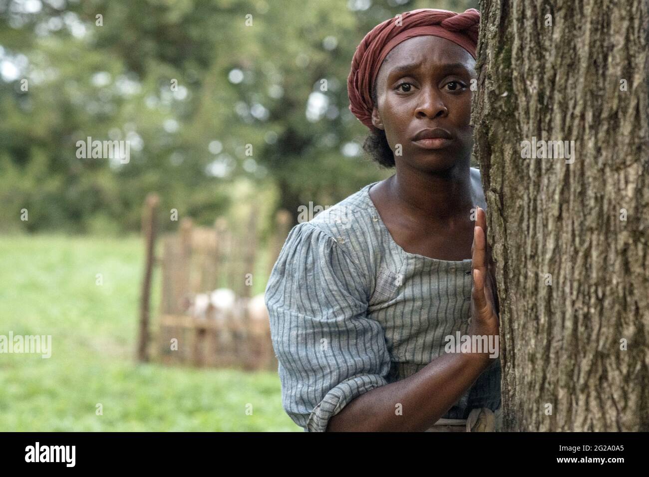 usa-cynthia-erivo-in-a-scene-from-the-focus-mit-neuem-film-harriet