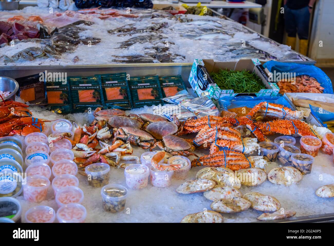 Ausstellung von frischen Meeresfrüchten, Fisch und Krebstieren an der Theke in einem Fischgeschäft in Camber Quay, Portsmouth, Hampshire, Südküste Englands Stockfoto