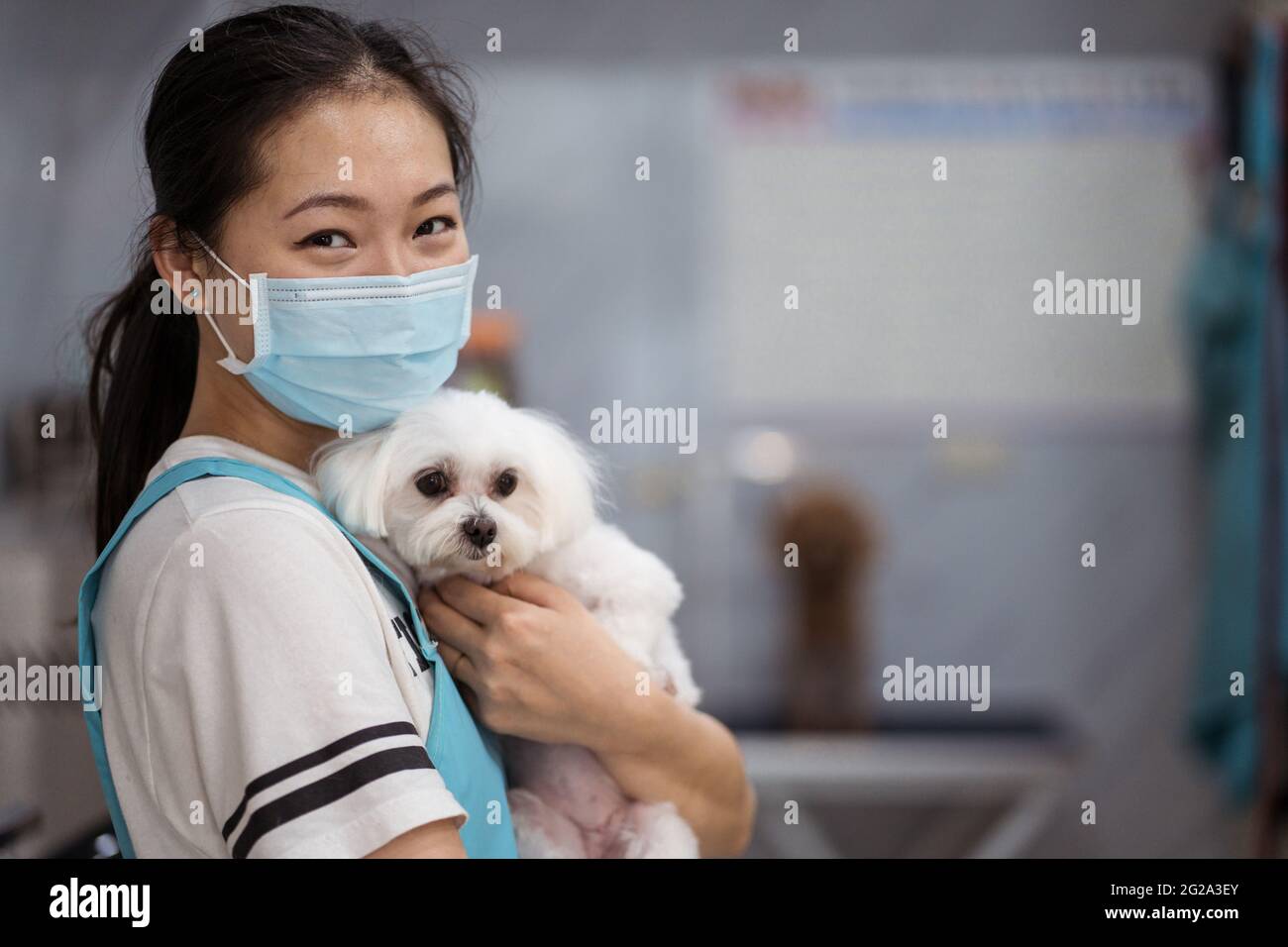 Angstlicher Hund Stockfotos Und Bilder Kaufen Alamy