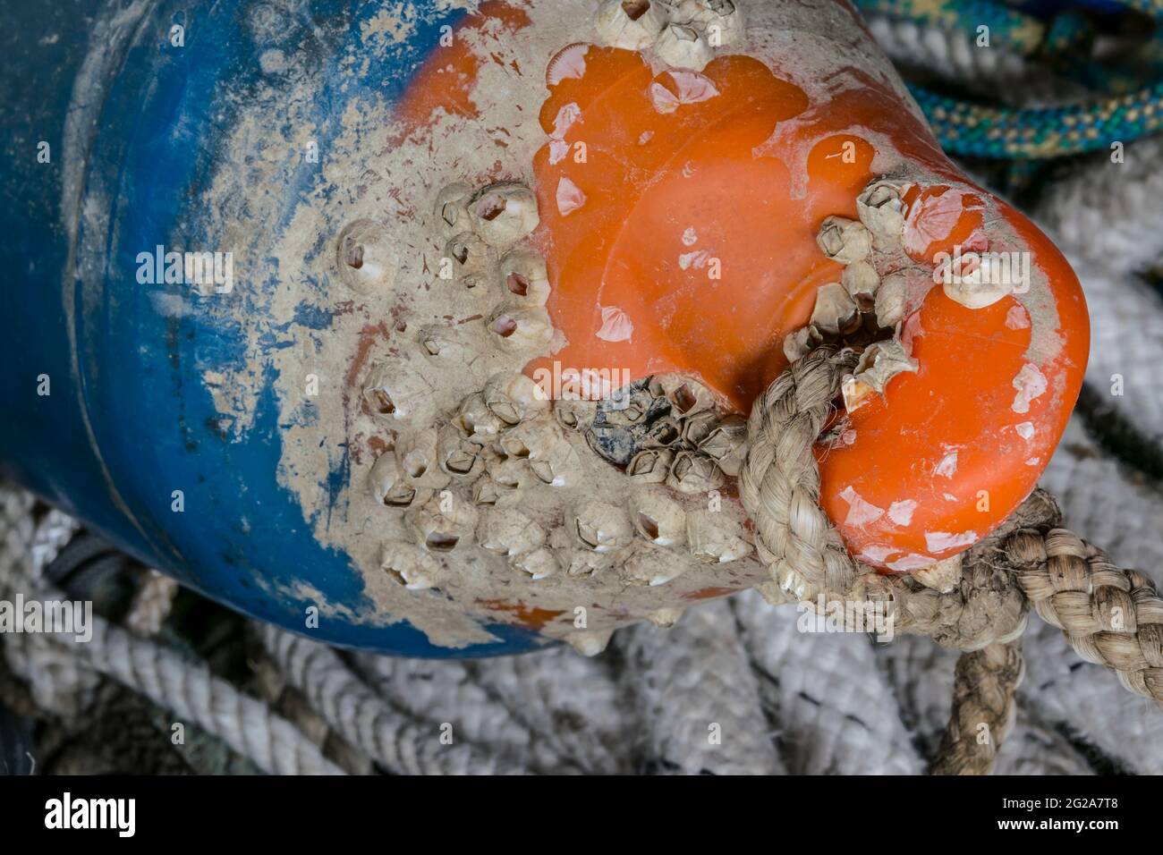 Gebrauchte Fischerseile und Boje Stockfoto