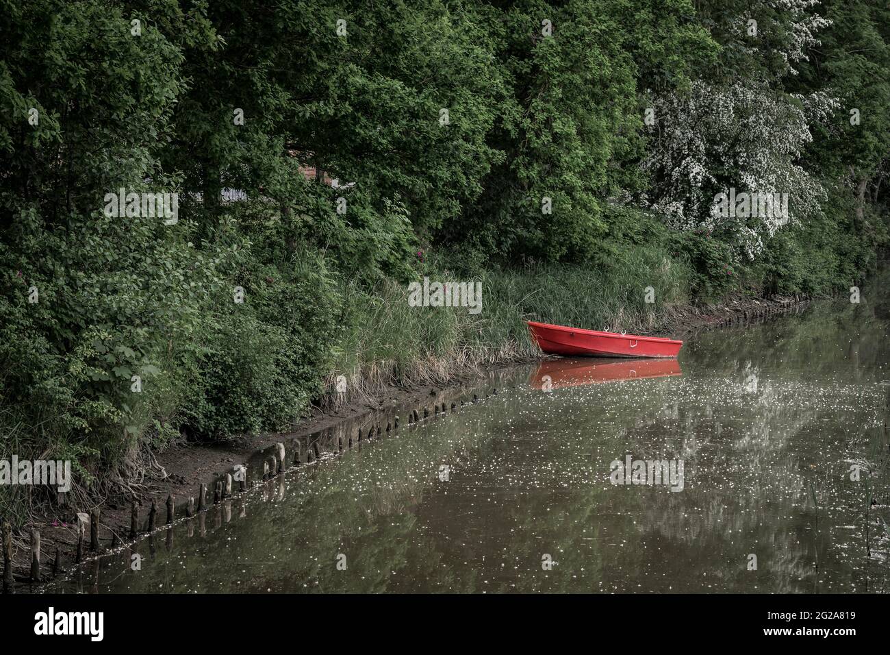 Rotes Ruderboot in einem kleinen Fluss Stockfoto