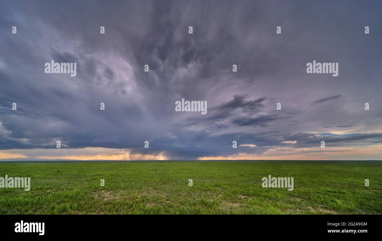 Starke Sturmwolke über grüner Prärie und entfernten Rocky Mountains - Pawnee National Grassland in Colorado, Landschaft im späten Frühling oder Frühsommer Stockfoto